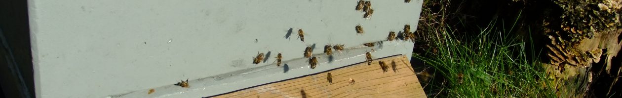 Biavlerforeningen